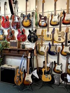 Buzzy Levine and Lark Street Music, Pure Harmony